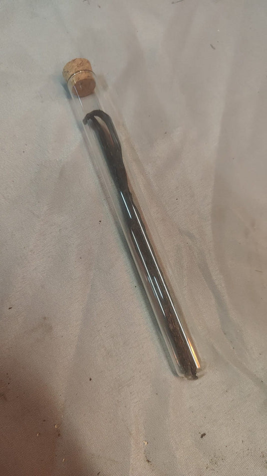 Echte Vanillestokjes (2 stokjes per verpakking)