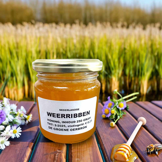 Nederlandse Weerribben honing
